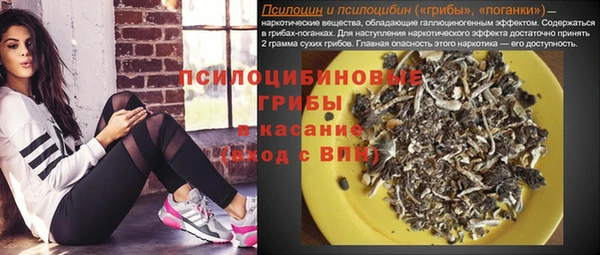 гашик Володарск
