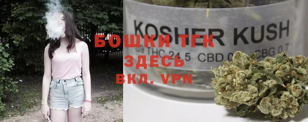гашик Володарск