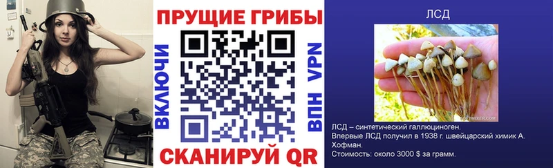 Псилоцибиновые грибы мицелий  Купить  Рошаль 